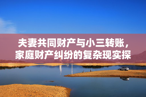 夫妻共同财产与小三转账，家庭财产纠纷的复杂现实探究