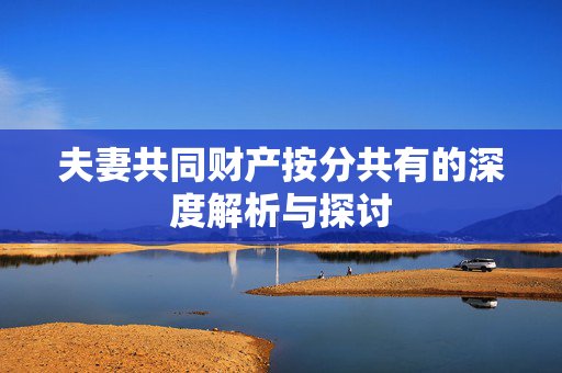 夫妻共同财产按分共有的深度解析与探讨