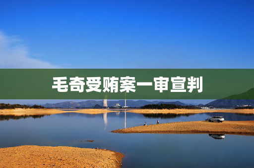 毛奇受贿案一审宣判