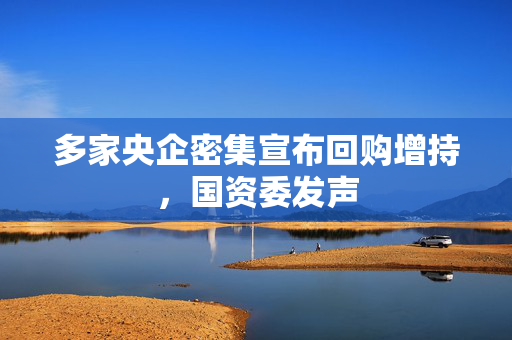 多家央企密集宣布回购增持，国资委发声