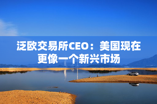 泛欧交易所CEO：美国现在更像一个新兴市场