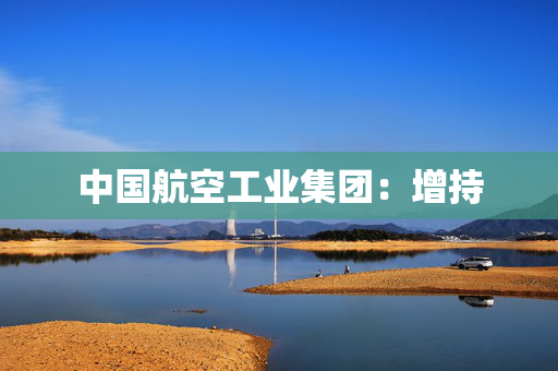 中国航空工业集团：增持