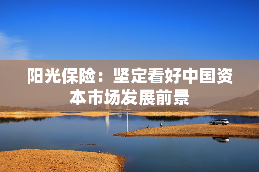 阳光保险：坚定看好中国资本市场发展前景