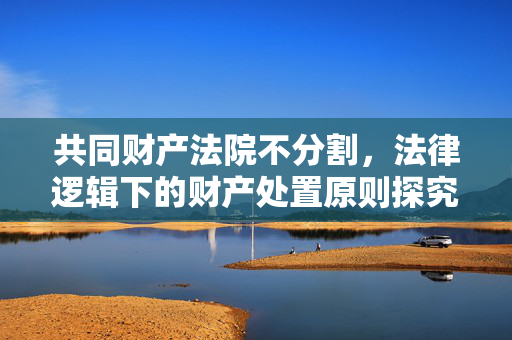 共同财产法院不分割，法律逻辑下的财产处置原则探究