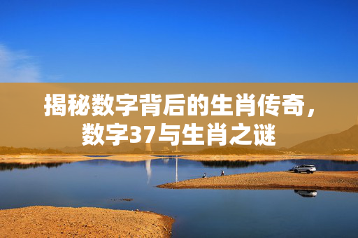 揭秘数字背后的生肖传奇，数字37与生肖之谜