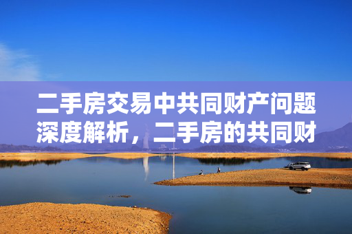 二手房交易中共同财产问题深度解析，二手房的共同财产处理之道