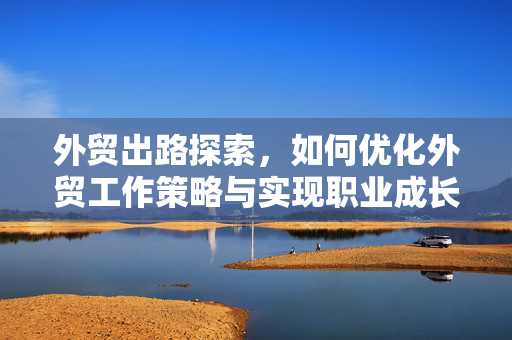 外贸出路探索，如何优化外贸工作策略与实现职业成长之路