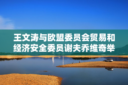 王文涛与欧盟委员会贸易和经济安全委员谢夫乔维奇举行视频会谈