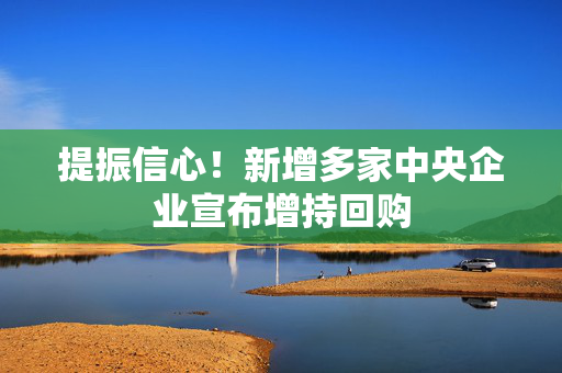 提振信心！新增多家中央企业宣布增持回购