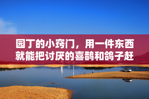 园丁的小窍门，用一件东西就能把讨厌的喜鹊和鸽子赶出你的花园