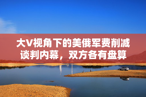 大V视角下的美俄军费削减谈判内幕，双方各有盘算