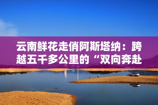 云南鲜花走俏阿斯塔纳：跨越五千多公里的“双向奔赴”