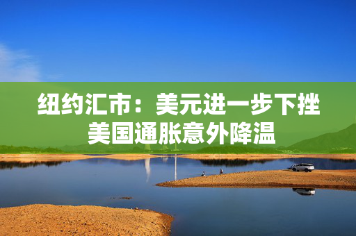 纽约汇市：美元进一步下挫 美国通胀意外降温