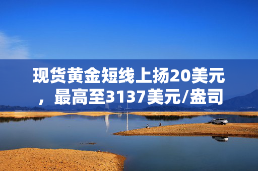 现货黄金短线上扬20美元，最高至3137美元/盎司