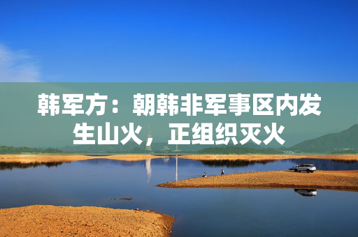 韩军方：朝韩非军事区内发生山火，正组织灭火