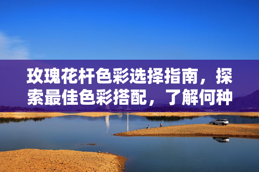 玫瑰花杆色彩选择指南，探索最佳色彩搭配，了解何种颜色最佳搭配玫瑰花杆