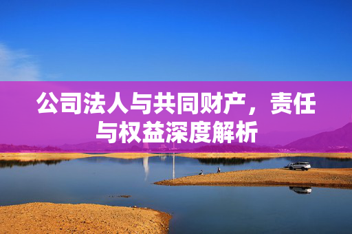 公司法人与共同财产，责任与权益深度解析