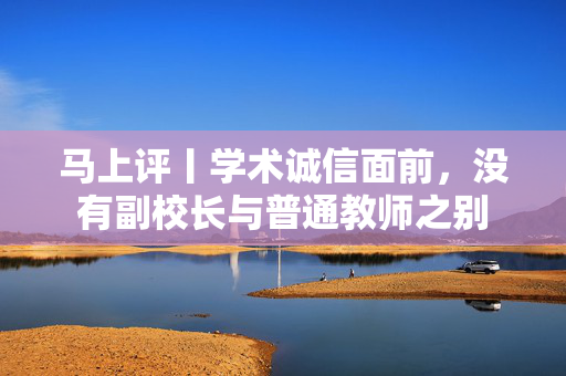 马上评丨学术诚信面前，没有副校长与普通教师之别