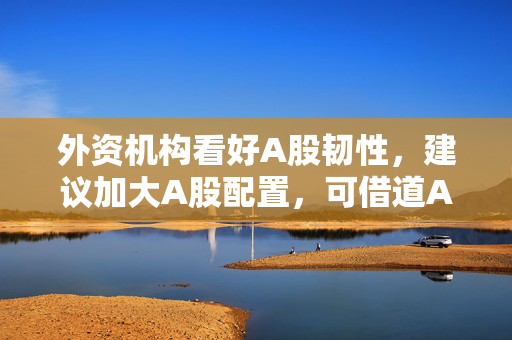 外资机构看好A股韧性，建议加大A股配置，可借道A50ETF华宝（159596）布局