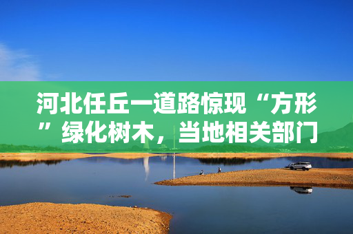 河北任丘一道路惊现“方形”绿化树木，当地相关部门：为避免接触高压电线