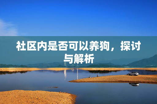 社区内是否可以养狗，探讨与解析