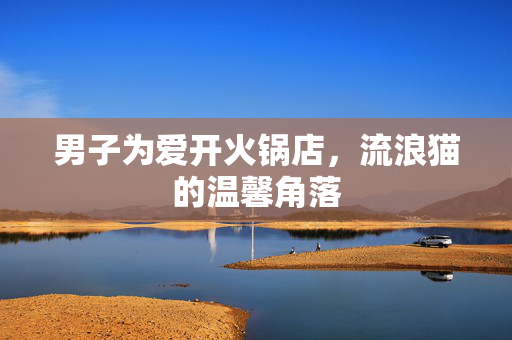 男子为爱开火锅店，流浪猫的温馨角落