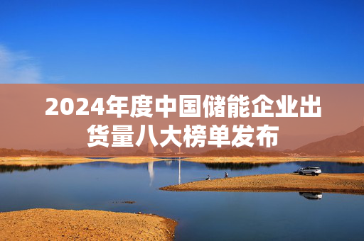 2024年度中国储能企业出货量八大榜单发布