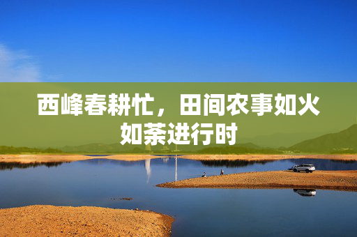 西峰春耕忙，田间农事如火如荼进行时