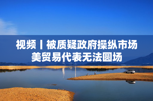 视频丨被质疑政府操纵市场美贸易代表无法圆场