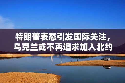 特朗普表态引发国际关注，乌克兰或不再追求加入北约的考量与微妙变化分析