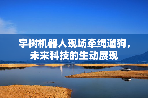 宇树机器人现场牵绳遛狗，未来科技的生动展现