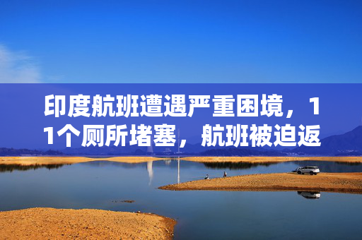 印度航班遭遇严重困境，11个厕所堵塞，航班被迫返航