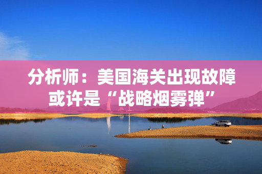 分析师：美国海关出现故障或许是“战略烟雾弹”