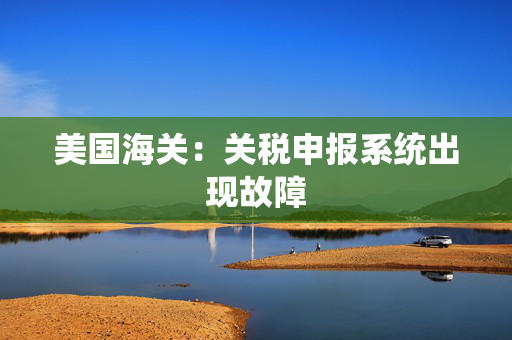 美国海关：关税申报系统出现故障