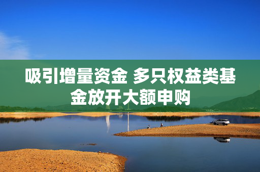 吸引增量资金 多只权益类基金放开大额申购