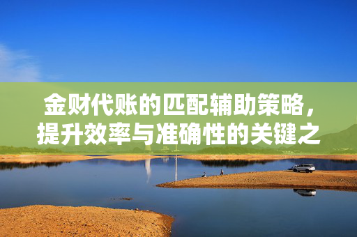 金财代账的匹配辅助策略，提升效率与准确性的关键之道