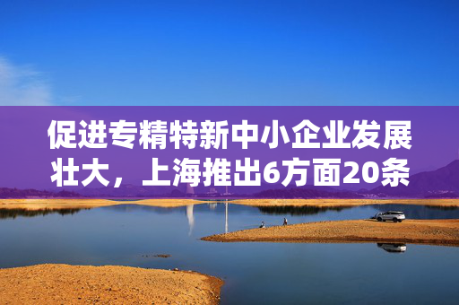 促进专精特新中小企业发展壮大，上海推出6方面20条措施