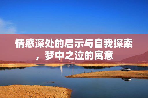 情感深处的启示与自我探索，梦中之泣的寓意