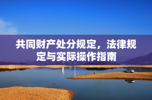 共同财产处分规定，法律规定与实际操作指南
