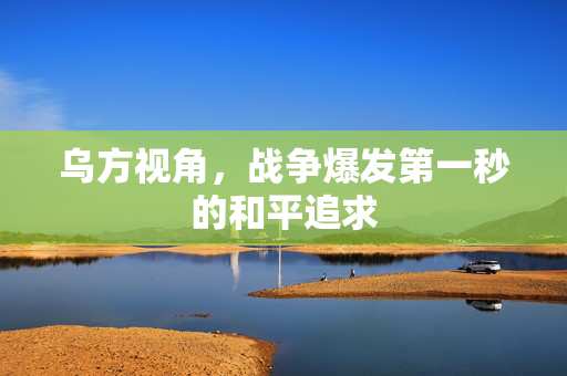 乌方视角，战争爆发第一秒的和平追求