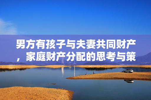 男方有孩子与夫妻共同财产，家庭财产分配的思考与策略