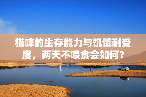 猫咪的生存能力与饥饿耐受度，两天不喂食会如何？