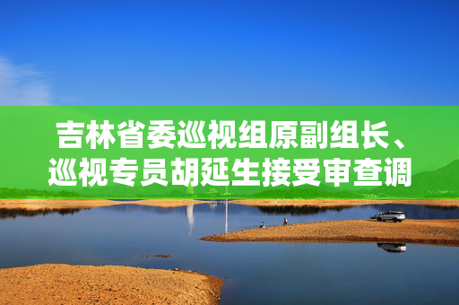 吉林省委巡视组原副组长、巡视专员胡延生接受审查调查
