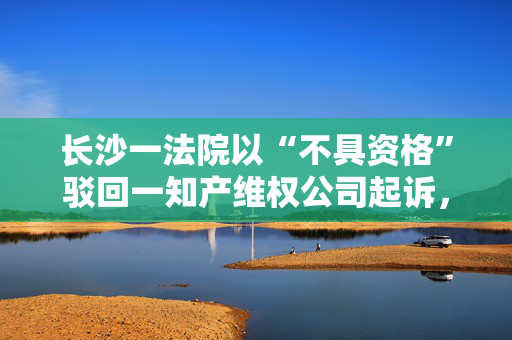 长沙一法院以“不具资格”驳回一知产维权公司起诉，原告曾在多地提类似诉讼