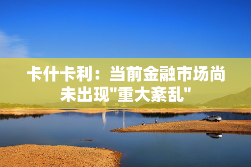 卡什卡利：当前金融市场尚未出现