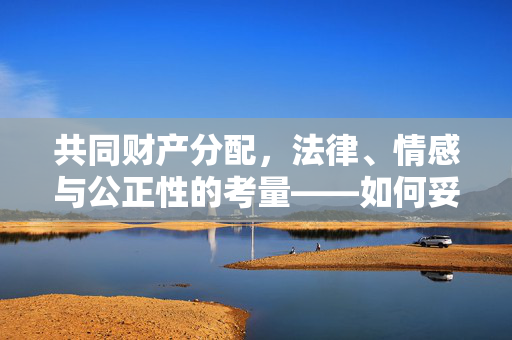 共同财产分配，法律、情感与公正性的考量——如何妥善给予一方？
