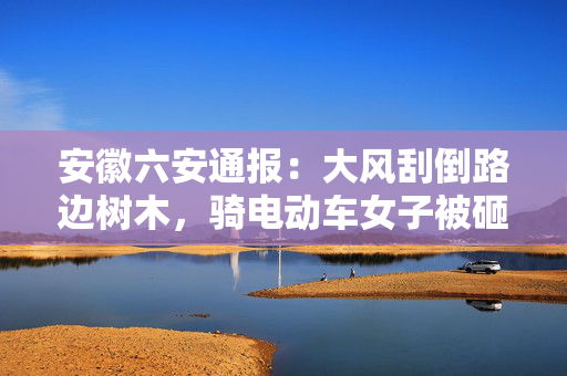 安徽六安通报：大风刮倒路边树木，骑电动车女子被砸中身亡