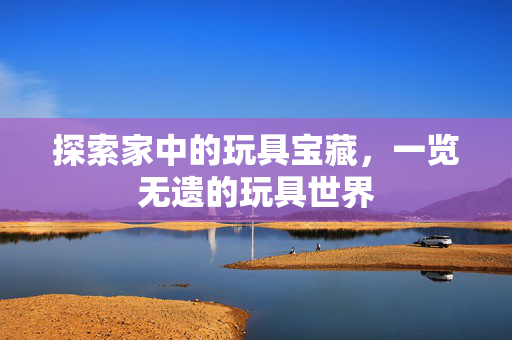 探索家中的玩具宝藏，一览无遗的玩具世界