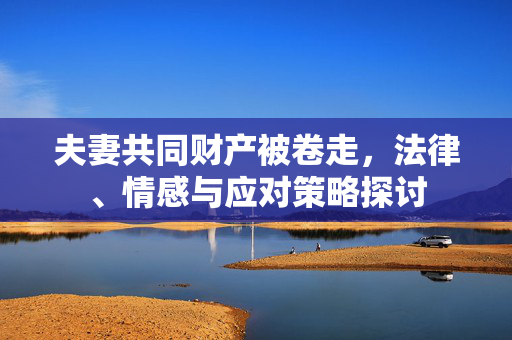 夫妻共同财产被卷走，法律、情感与应对策略探讨