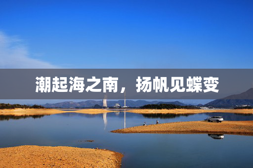 潮起海之南，扬帆见蝶变